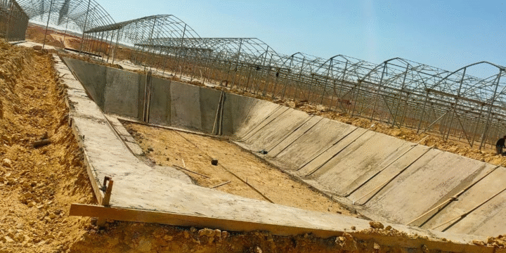 e036ae9d-fc18-464d-b340-dbb56686c369_6_11zon